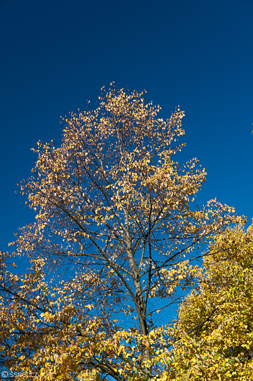 Petrin Hill in the autumn sunshine