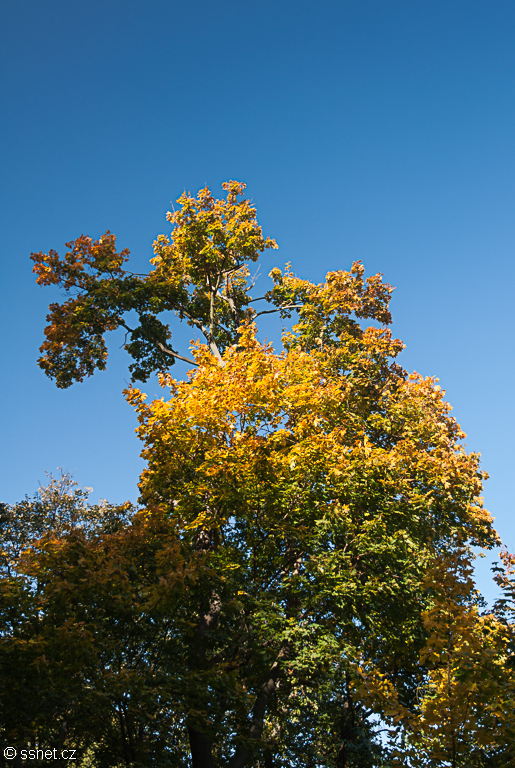 Petrin Hill in the autumn sunshine