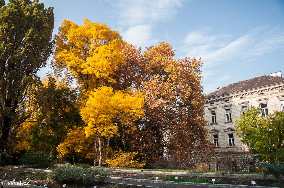 Botanical Garden in Prague