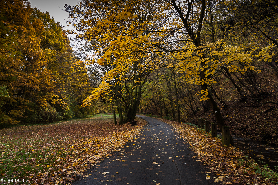 Prokop's Valley - Autumn